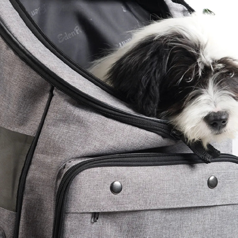 Go Out Portable Pet Backpack - Bellarte Enchanté Go Out Portable Pet Backpack